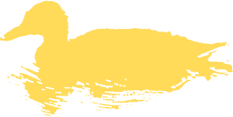 yellow duck logo