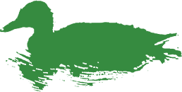 green duck left