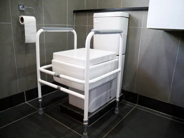 grab rails around toilet seat